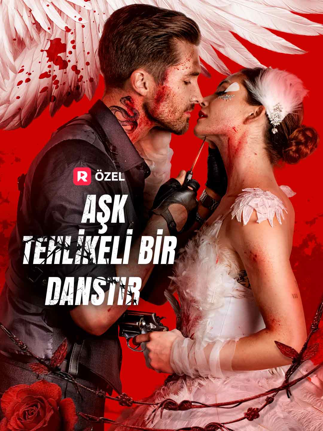 Aşk Tehlikeli Bir Danstır (Türkçe Dublaj) afişi