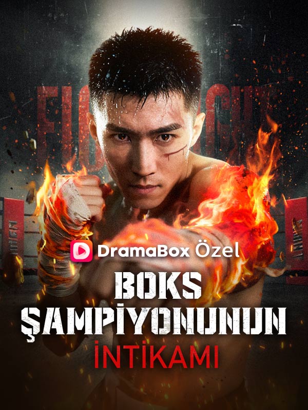 Boks Şampiyonunun İntikamı (Türkçe Dublaj) afişi
