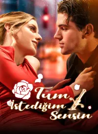 Tüm İstediğim Sensin (Türkçe Dublaj) afişi