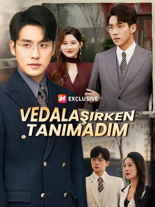 Vedalaşırken Tanımadım (Türkçe Dublaj) afişi