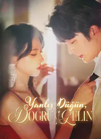 Yanlış Düğün, Doğru Gelin (Türkçe Dublaj) afişi