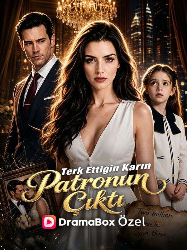 Terk Ettiğin Karın Patronun Çıktı afişi