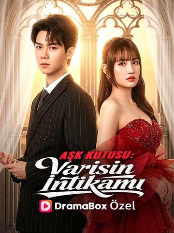 Varisin İntikamı afişi